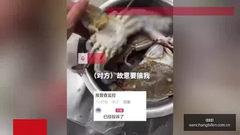 热刺官方宣布马尔穆什加盟，5800万欧买断费无分成